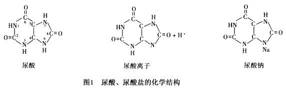 高尿酸血症.jpg