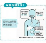 预防痛风在日常饮食上需注意哪些?