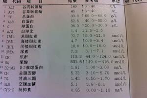 江先生的化验报告指出尿酸等指标偏高